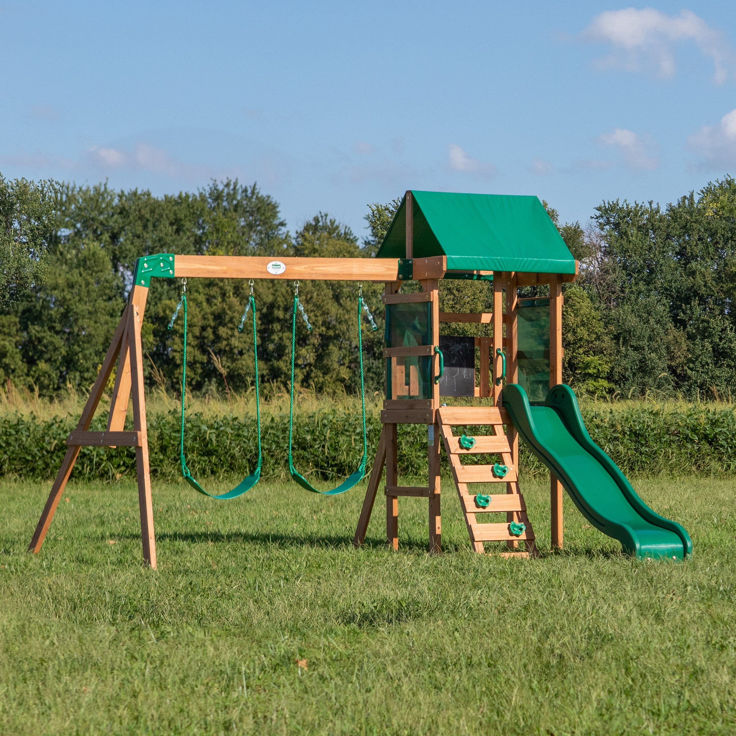 Buckley Hill Swing Set