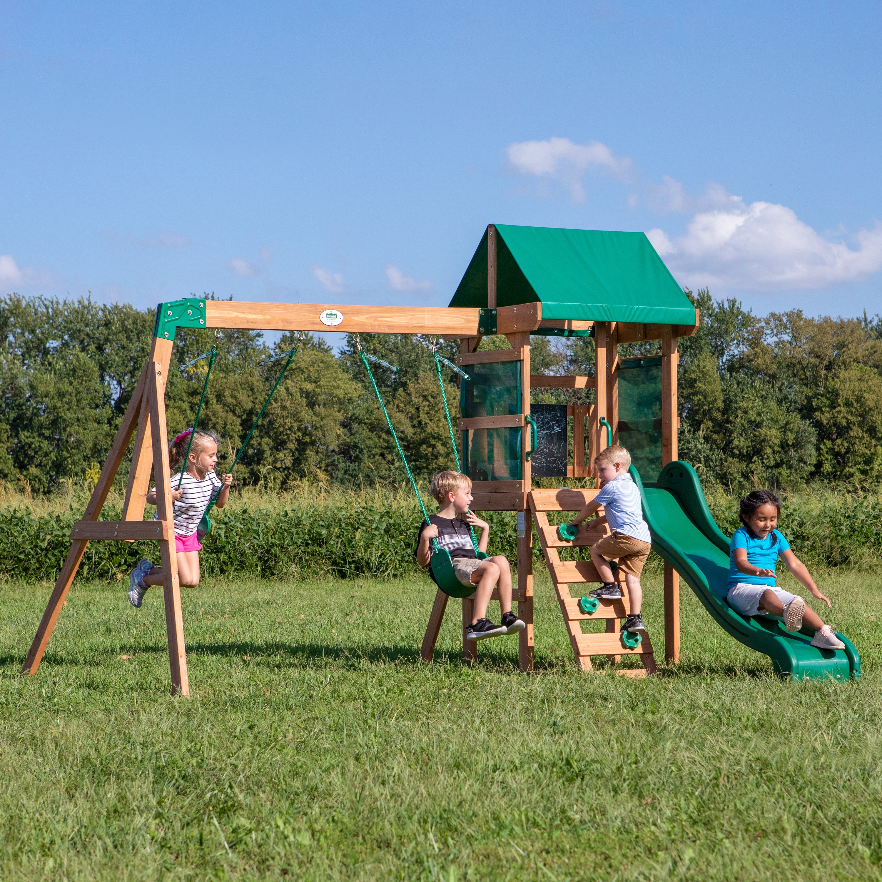 Buckley Hill Swing Set and Climbing Frame