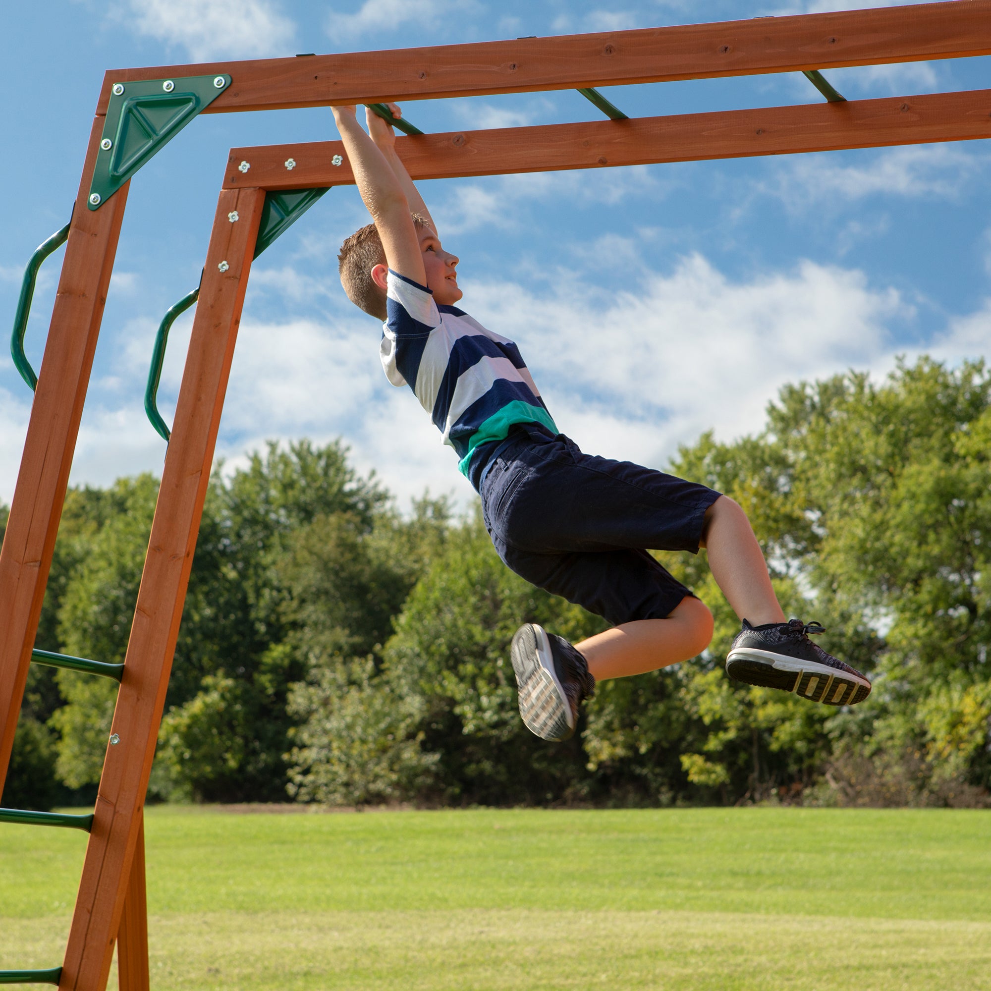 Skyfort II Swing Set and Climbing Frame