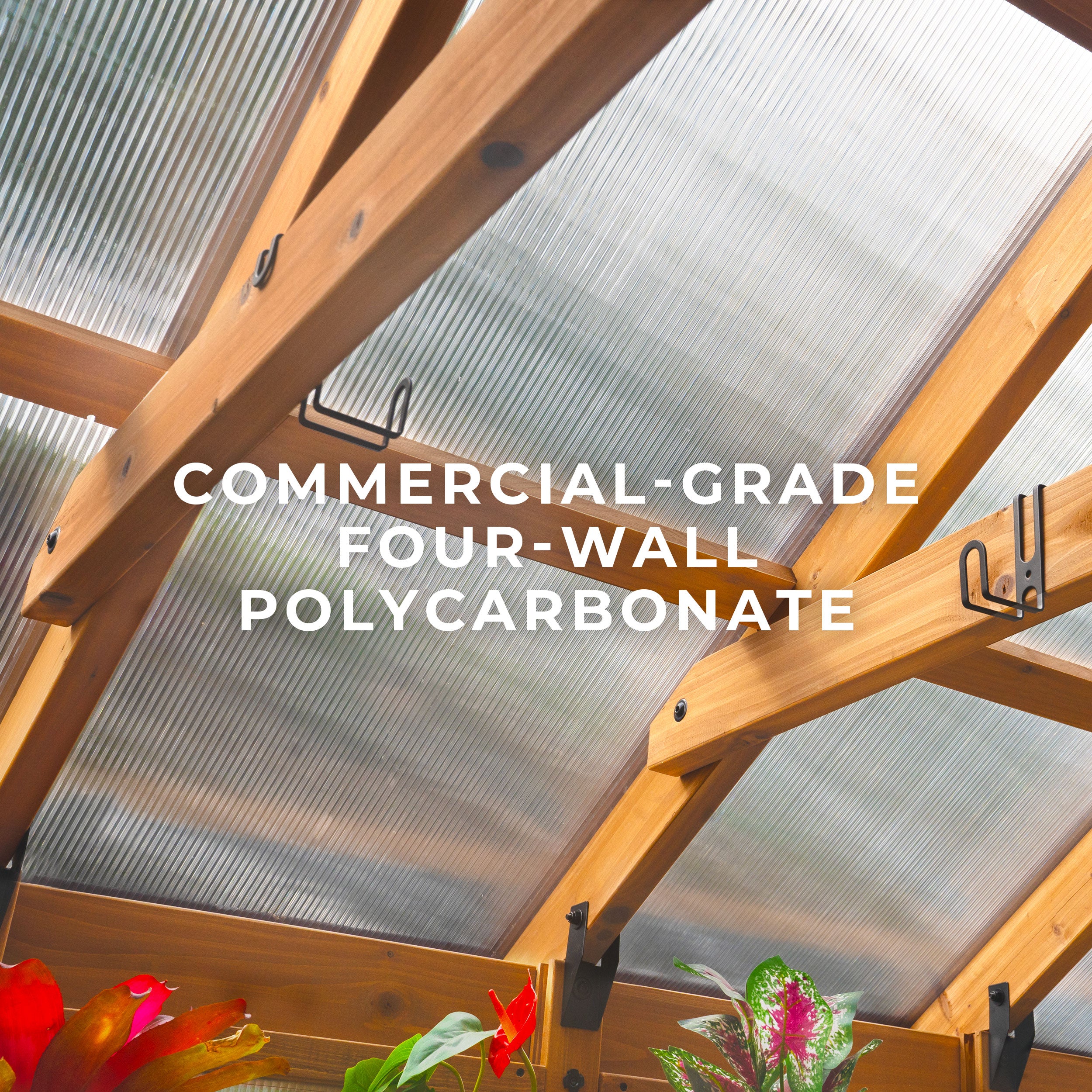 2.9m x 1.8m (9ft x 6ft) Bellerose Greenhouse