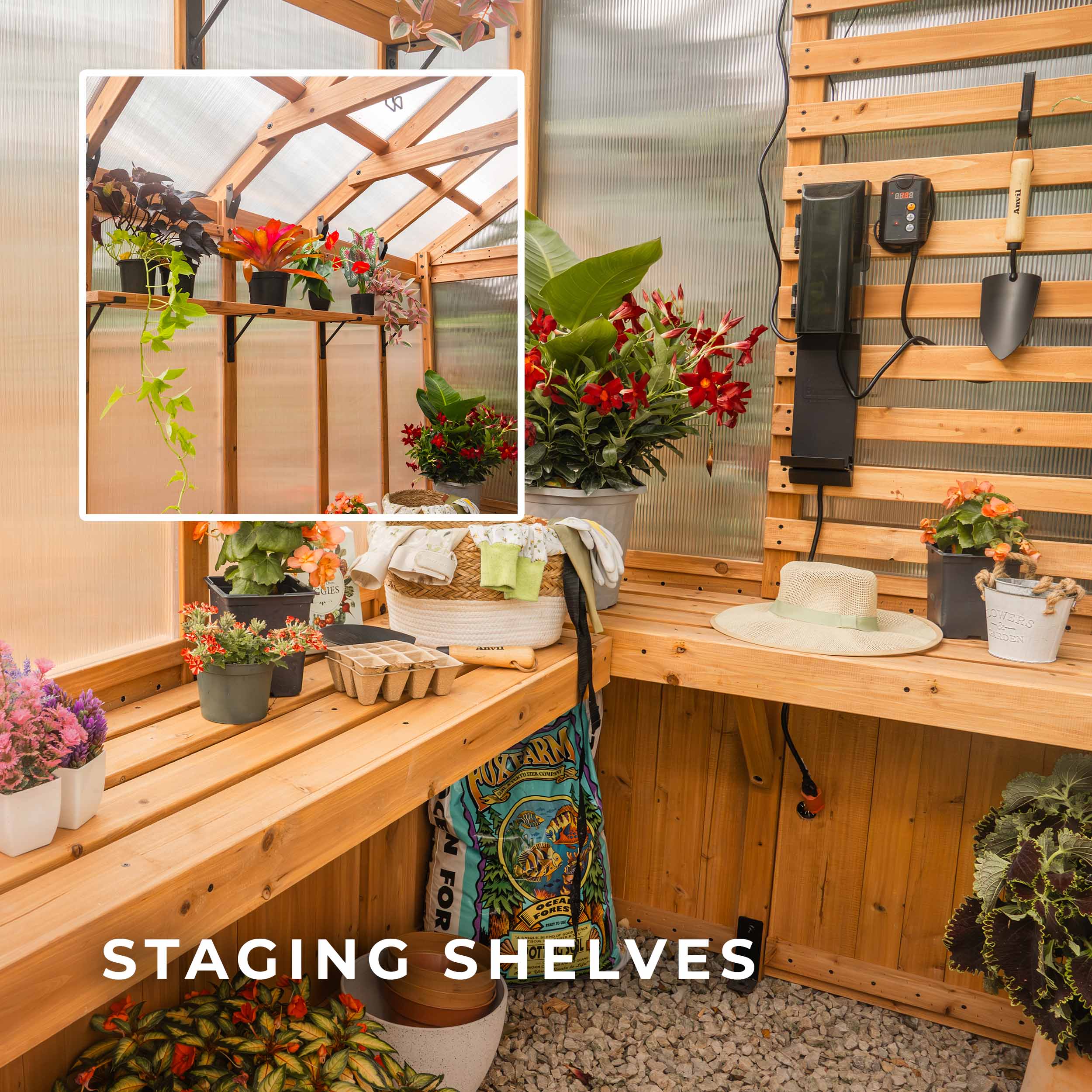 2.9m x 1.8m (9ft x 6ft) Bellerose Greenhouse